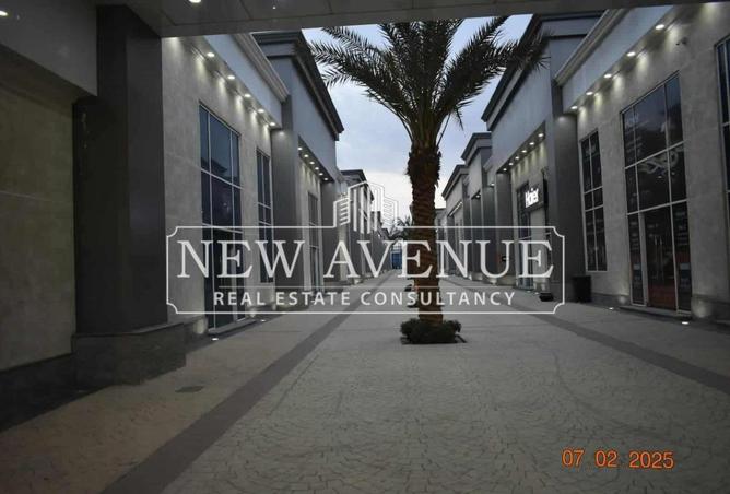 8192989 - Property Image 2