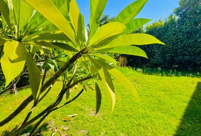 8231299 - صورة العقار 2