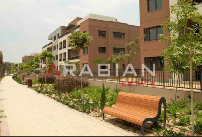 8426253 - Property Image 3