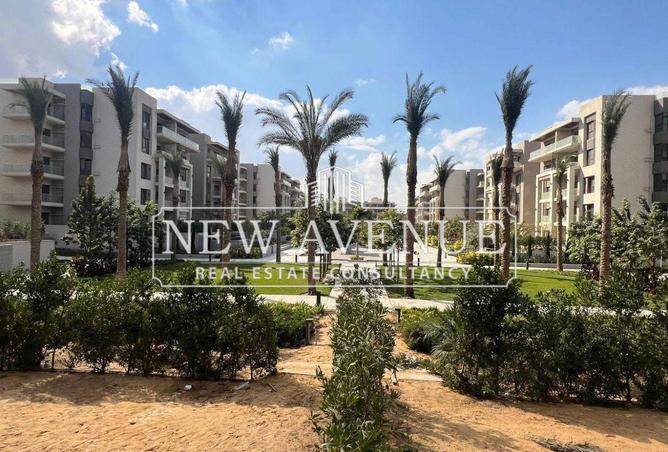 8272822 - Property Image 2