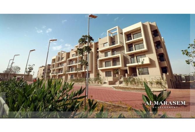 8337218 - Property Image 3