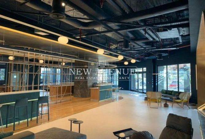 8206529 - Property Image 3