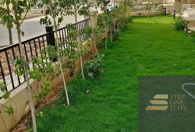 8203836 - صورة العقار 3