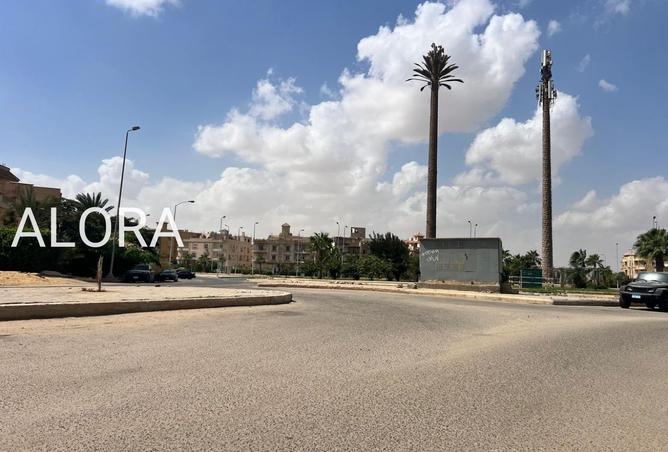 8121981 - صورة العقار 3