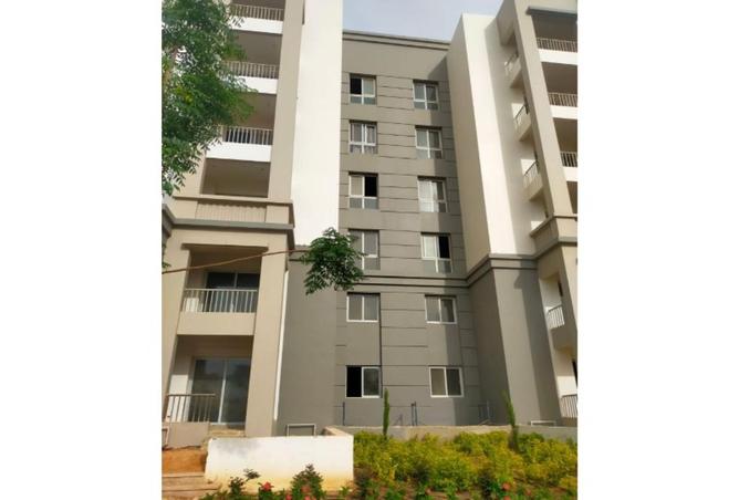 8209748 - صورة العقار 2