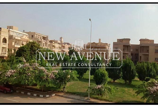 8308400 - Property Image 3