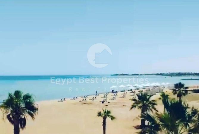 8561704 - الصورة الرئيسية للعقار