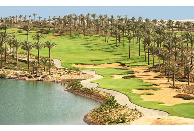 8398879 - صورة العقار 2