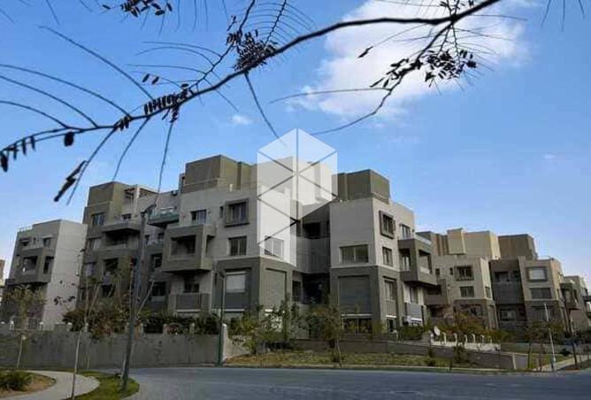 8239853 - Property Image 2