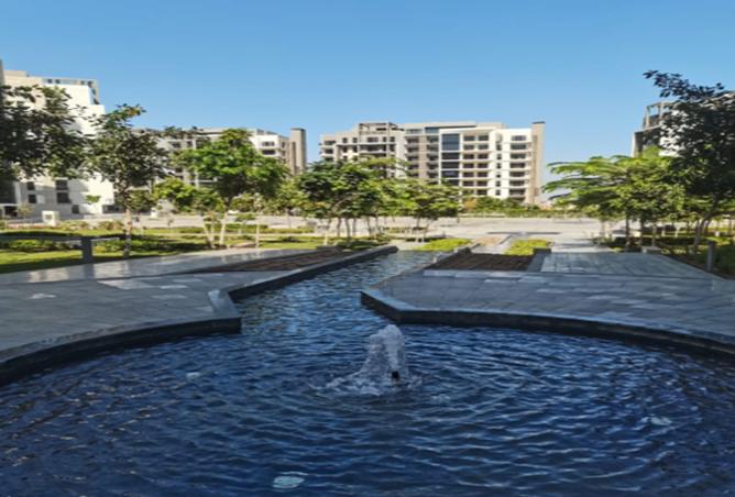 7979346 - صورة العقار 2