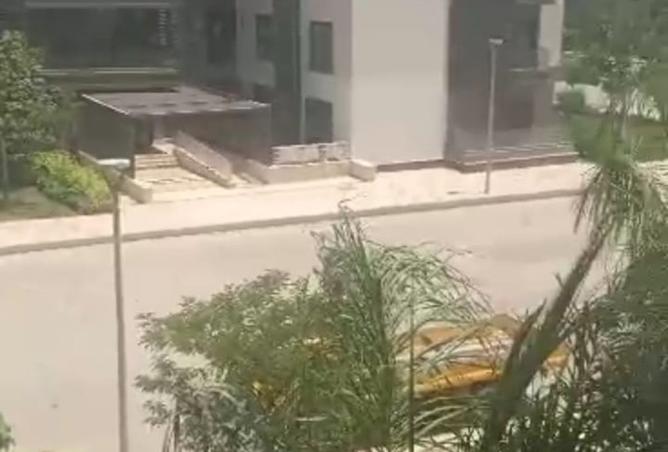 7912878 - صورة العقار 3