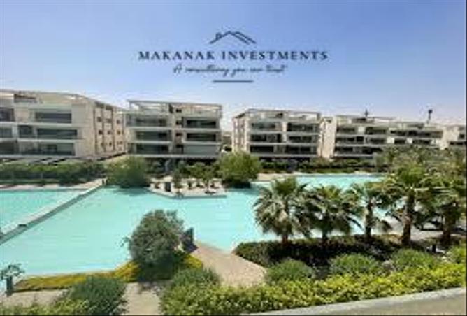 8380320 - Property Image 3