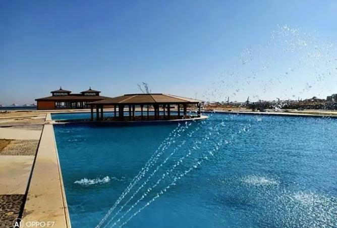 8433931 - صورة العقار 3