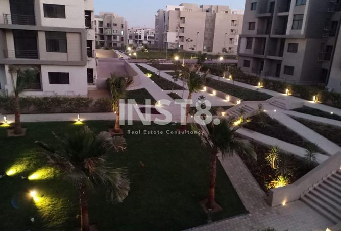 8131397 - Property Image 3
