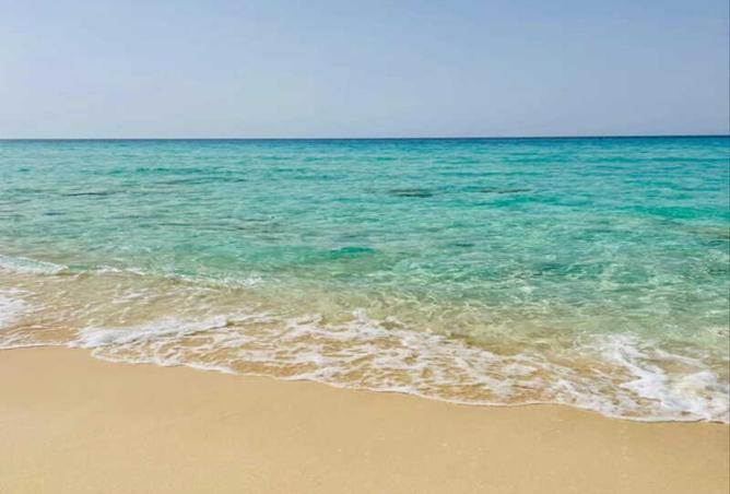 8135968 - صورة العقار 2