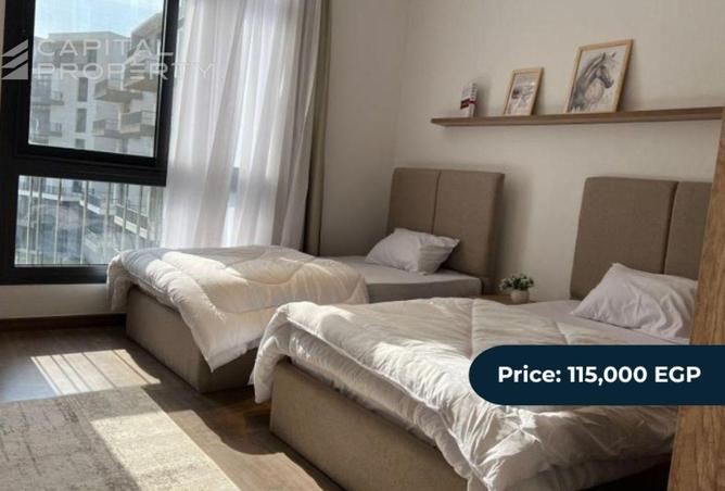 8406146 - Property Image 2