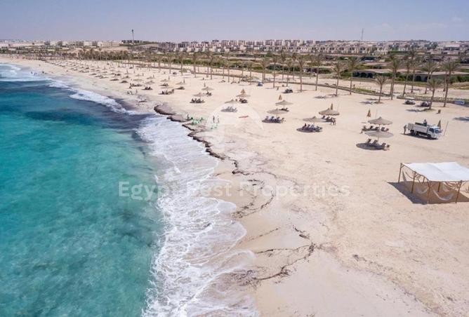 7962382 - صورة العقار 2