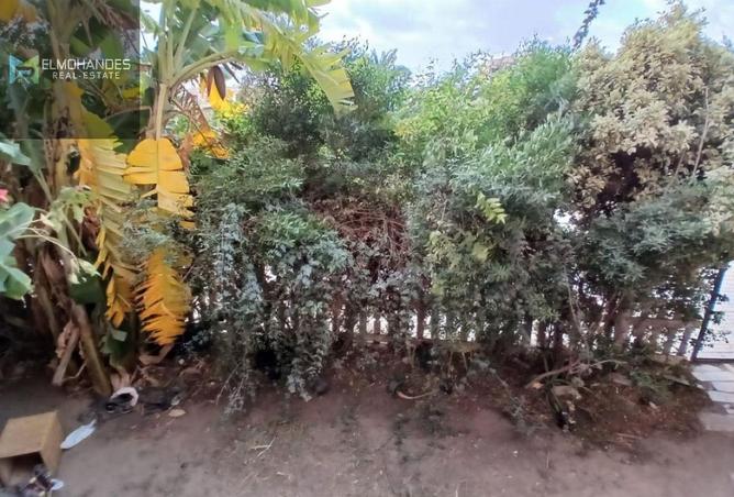 8542646 - Property Image 2