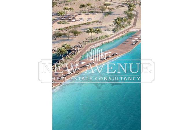 8482845 - Property Image 3