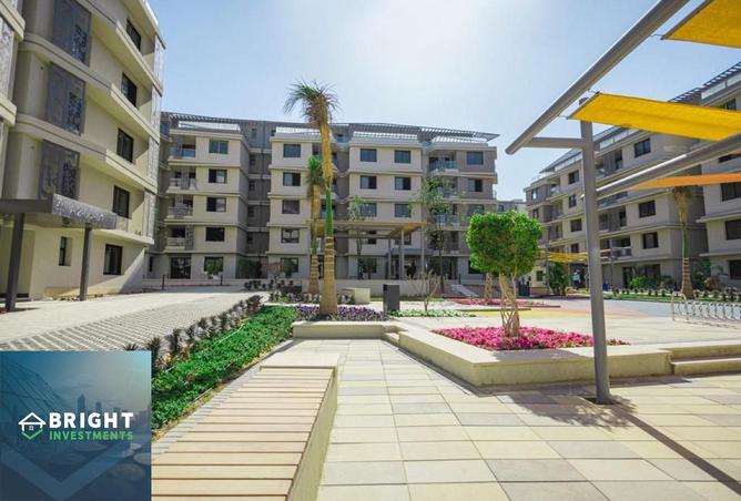 8071961 - Property Image 3