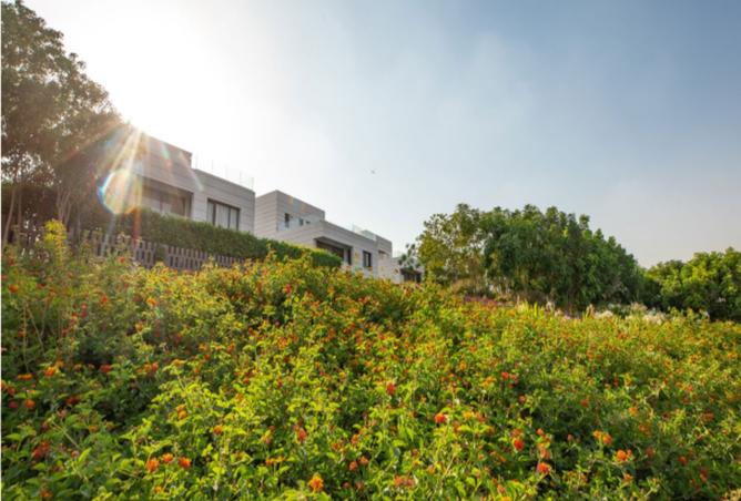 8559009 - صورة العقار 3