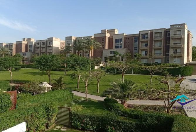 7965255 - صورة العقار 2