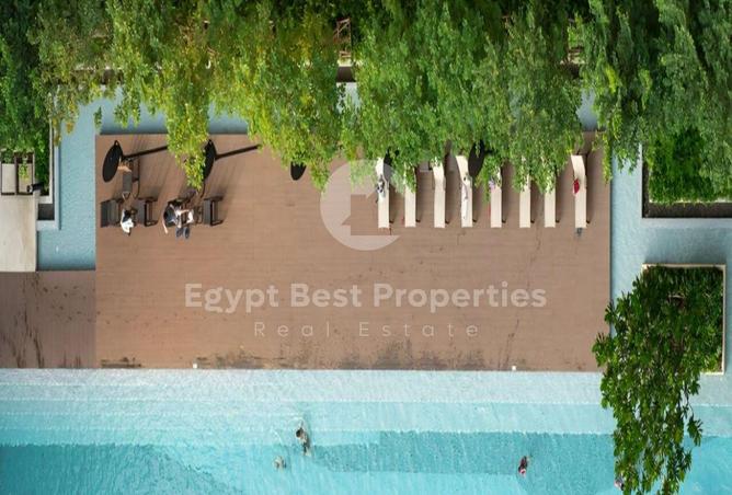 8034202 - Property Image 3