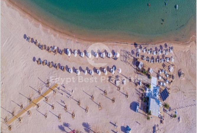 7905772 - صورة العقار 2
