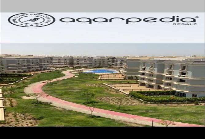 7968796 - صورة العقار 3