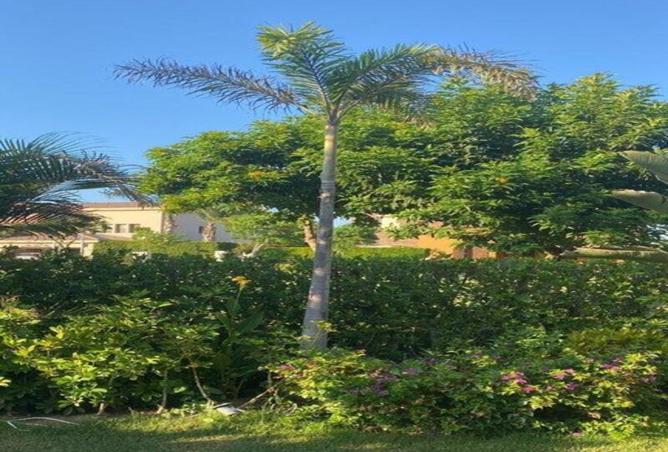 8136601 - صورة العقار 2