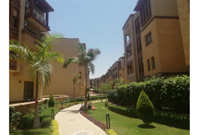 8152475 - Property Image 3