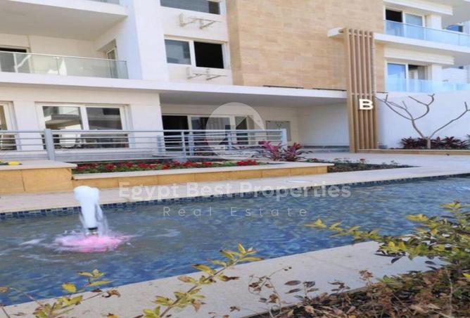 8124094 - Property Image 3