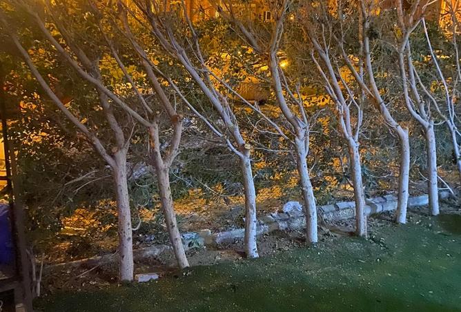 8437260 - الصورة الرئيسية للعقار