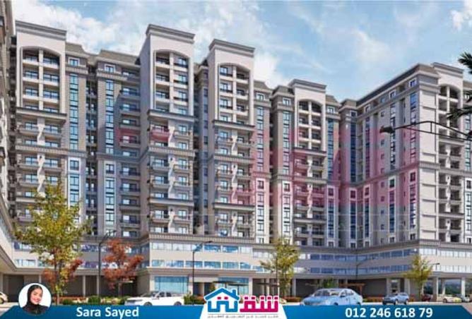 8212452 - Property Image 3