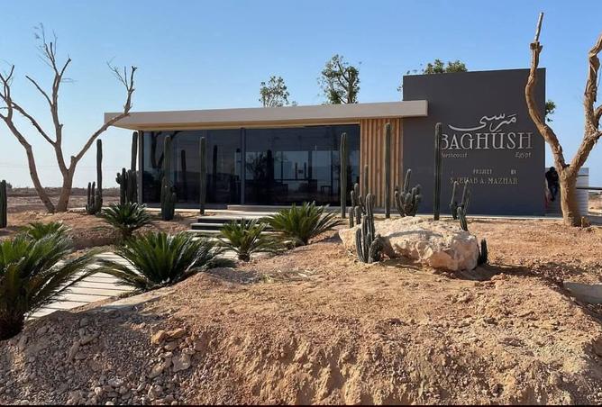 8165994 - صورة العقار 3