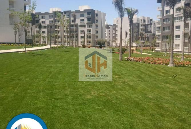 7928335 - Property Image 3