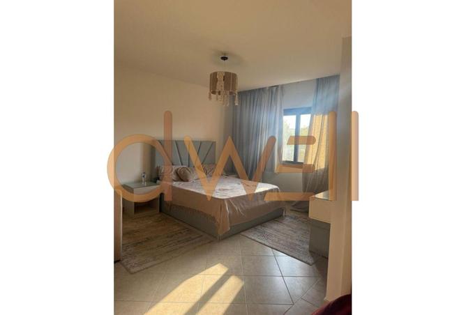 8403742 - Property Image 3