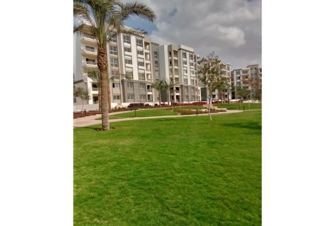 8206325 - Property Image 3