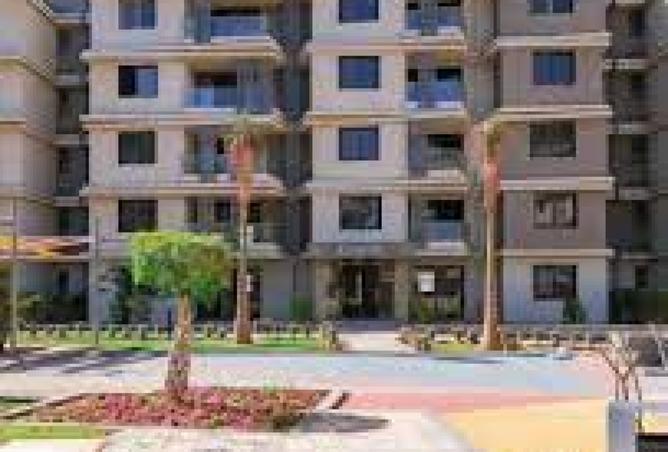 8202063 - صورة العقار 3