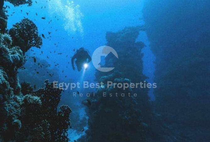 7897638 - صورة العقار 3