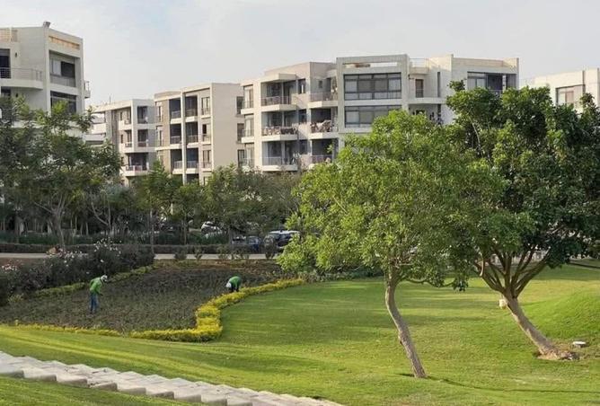 8413667 - صورة العقار 3