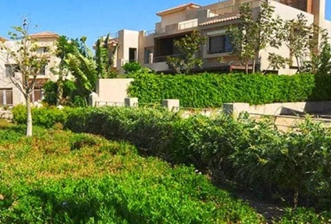 7956100 - صورة العقار 3