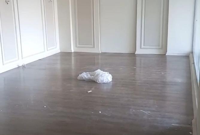 7931066 - صورة العقار 3