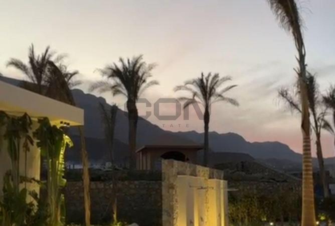 8394728 - Property Image 2