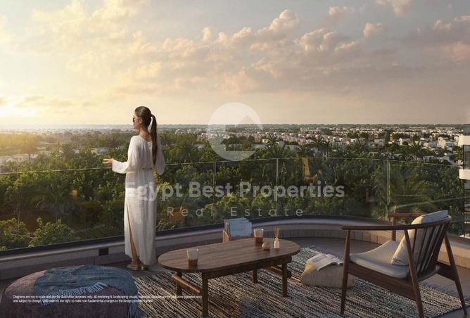 7992419 - Property Image 3