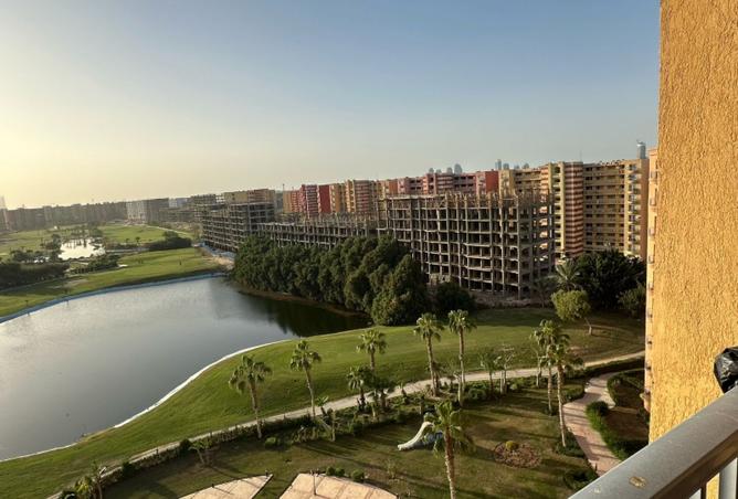 8138607 - Property Image 3