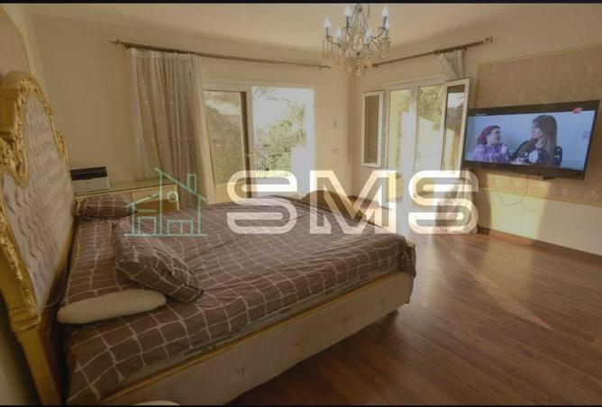 7919398 - Property Image 3