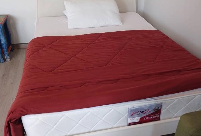 8451225 - Property Image 3