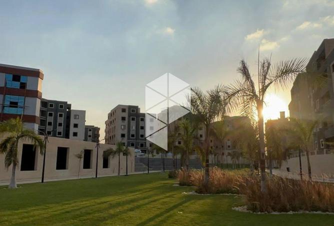 8463029 - Property Image 3