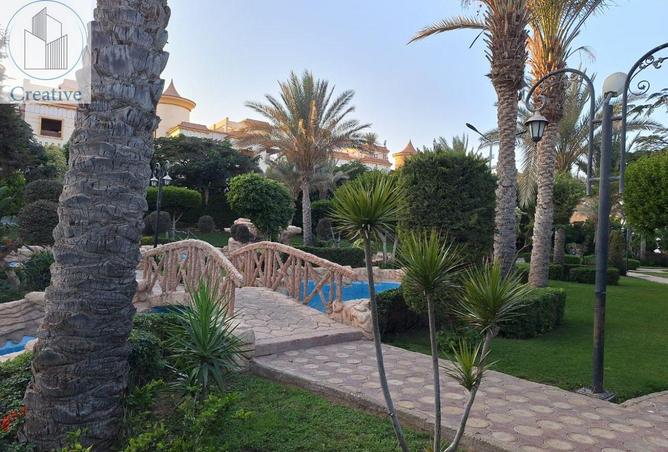 8382778 - Property Image 3